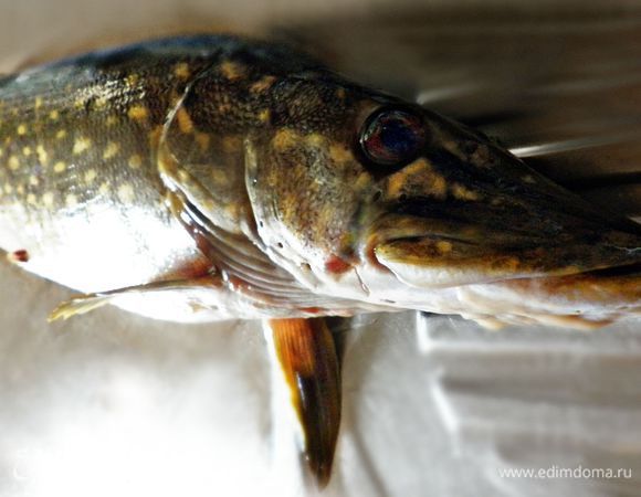 У меня была щука весом 1 кг 600 г. Голову и хвост я оставила на уху. Почистив рыбину и отделив филе от костей, получила около 700 г щучьего филе. 