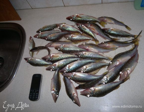 Муж помог выпотрошить, избавиться от слизи, обдав кипятком (особенности этой рыбы), почистить от шелухи. В нашей семье - я рыбачу, муж - обрабатывает рыбу.