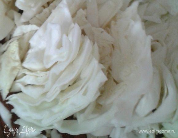 Капусту нашинковать крупно, добавить морковь. Слегка обжарить  на растительном масле. 