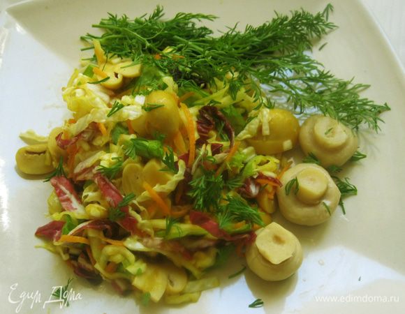 Шампиньоны добавил в салат, залил соусом, посыпал укропом и еще раз перемешал. На этот раз ложкой.
Готово! Можно пробовать. Конечно ничего экзотического, хотя шампиньоны придают необычный вкус. Неплохое дополнение к ужину и на завтрак осталось.
По желанию, шампиньоны можно взять вареные и даже сырые. Дело вкуса. Зелень то же можно положить любую, но если решите добавить зеленый лук, лучше сделать это перед подачей. Приготовьте и наслаждайтесь с пользой для организма.