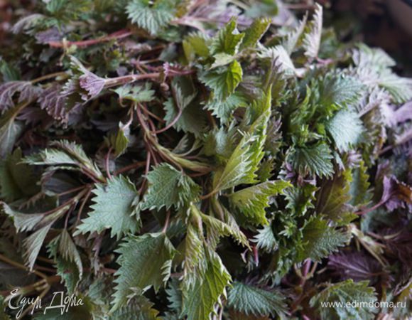 А это крапива ждет своей очереди. 