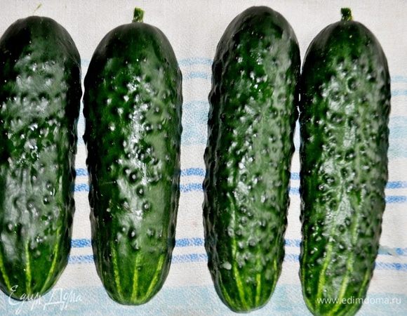 Огурцы вымыть, обсушить.