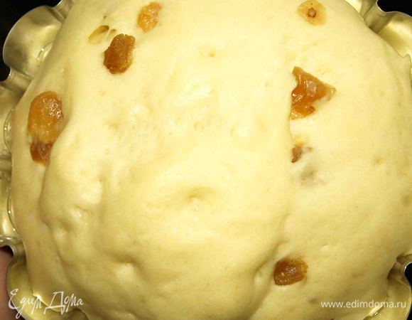 Когда тесто перестанет липнуть к рукам, разложить его в смазанные маслом формочки (тесто разложить до половины формочки и дать подняться). Выпекать в разогретой до 180°C духовке до готовности. Готовность проверить бамбуковой шпажкой.