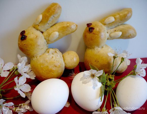 Вот они — наши зайки!!!