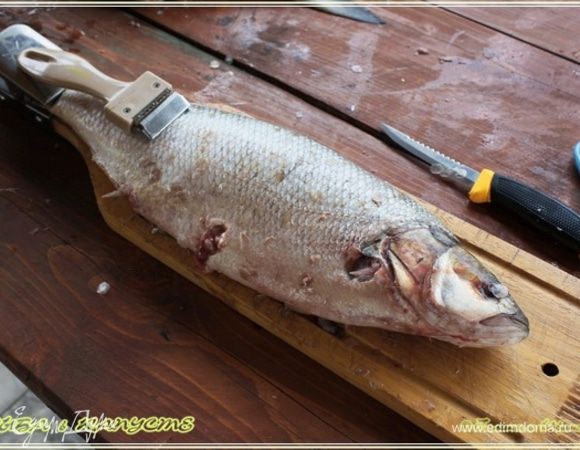 Рыбку, как водится, отделил я от чешуи, а потом плавники срезал и выпотрошил. Кстати, вон какой девайс у меня есть. 
Для разделки рыбы штучка очень удобная. Скользкость рыбы на удобство ее разделки никак не влияет. Добавьте еще перчатки. Обычные рабочие с такими пластиковыми пупырышками на одной стороне. Не пожалеете, чесслово.
