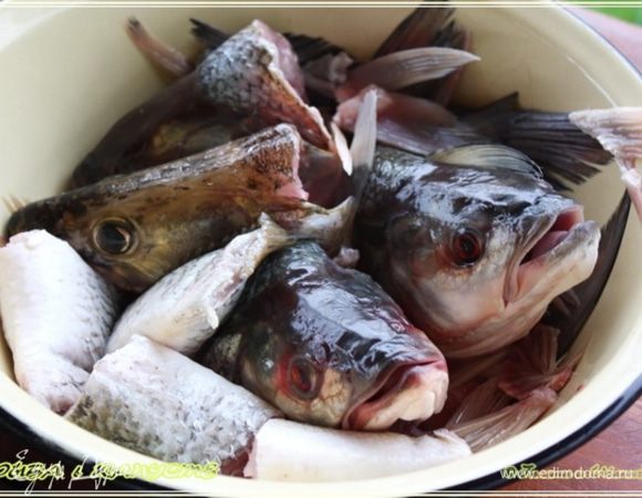 Головы, плавники и прихвостья, были отложены на уху. Для бульона самое оно.