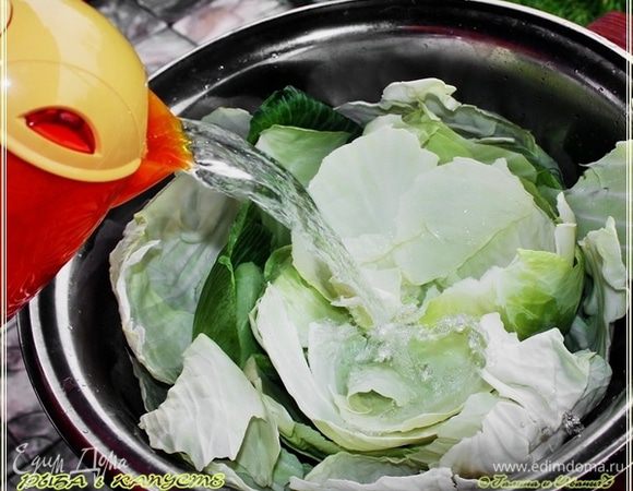 Но сжевав в задумчивости несколько листочков, все же решил, что это только положительная сторона. Потому что сок просто переполнял эти листики.
Разделал я капусту на листочки и зашпарил их кипятком. Чтобы, значит, они приобрели мягкость и не ломались потом, в процессе.
