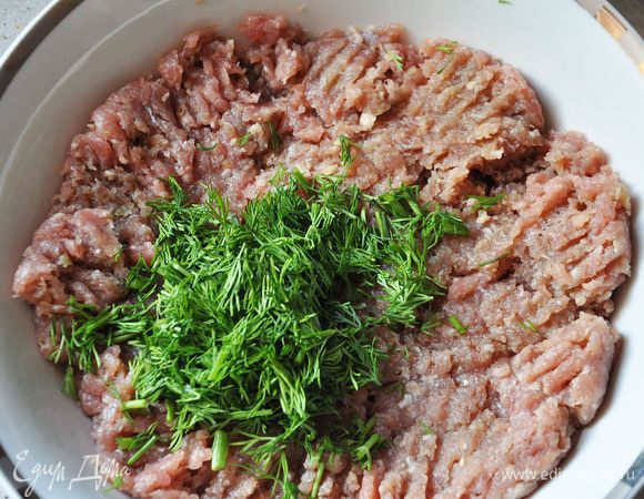 Мясо прокрутить через мясорубку, вместе с луком и картофелем. Посолить,поперчить,перемешать вместе с яйцом. Добавить мелко порезанный укроп.
