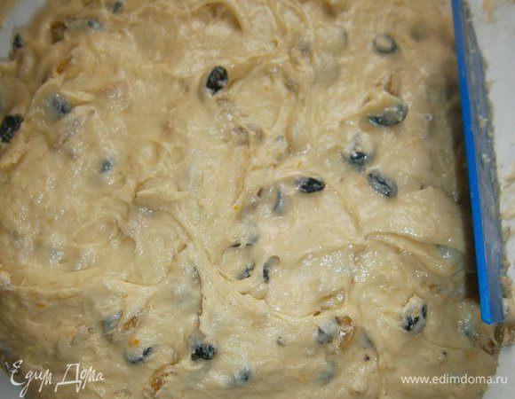 Вынуть тесто из холодильника. Выложить на смазанный растительным маслом стол, вмешать изюм. Хотя охлаждённое тесто стало более поддатливое, но всё равно оно липкое, поэтому вымешивать лучше шпателем.