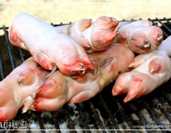 Холодец – Еда мясная. В смысле – готовится из мяса. Но всё - же главное в ней, этой Еде, как ни крути, а очень густой и насыщенный мясной бульон. Поэтому без ножек не обойтись. в соответствии с традицией, берём свиные. Ножки эти могут быть и говяжьи и барашкины. Всё зависит от вкуса и пристрастий. Но свиные есть свиные. Тут не поспоришь.