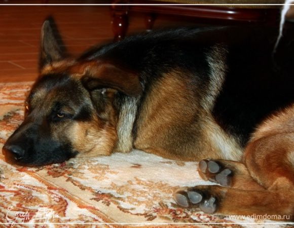 И убираем в холодильник.
Младшенький остался не у дел (свинина же!!!) … расстроился и демонстративно обиделся!!!
