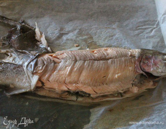 С лосося аккуратно снять кожу, удалить плавники. Убрать из брюшка травы.  По всей длине рыбы «чешуей» уложить кружки огурцов. Подать к столу вместе с соусом.
