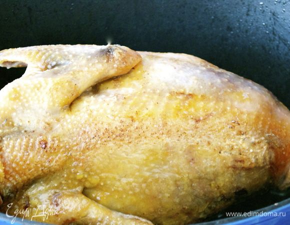 В глубокой тяжелой кастрюле (утятнице) разогреть масло. Положить цесарку и обжарить со всех сторон... 