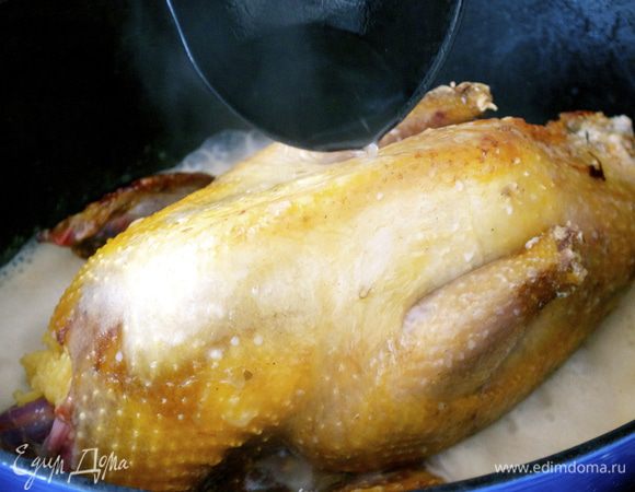 Добавить бульон. Я еще добавила оставшееся (от хлеба) молоко - просто жалко было выбрасывать, и на мой вкус оно было здесь совсем не лишним. Накрыть крышкой и тушить на небольшом огне около 40 минут. Время от времени переворачивать тушку и поливать соусом со дна кастрюли. 