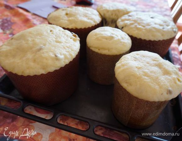 Смешать с мукой (тесто будет еще жидковатым, но ничего не надо добавлять) разложить по формам (наполнить 1/3) для выпечки, поставить в теплое место на расстойку на 4-5 часов.