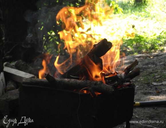 Для люля-кебаба нам понадобятся жаркие, долго не прогорающие угли. 
Если Вы готовите его на природе, то поставьте фарш в холодную воду или ведро с холодной водой. 
Углей нам понадобиться очень много. Дрова подойдут буковые, вишневые, дубовые — они хорошо держат температуру.