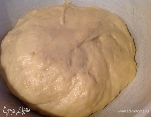 Добавить муку, соль, растительное масло, вымесить тесто. Накрыть, дать постоять в теплом месте около часа.