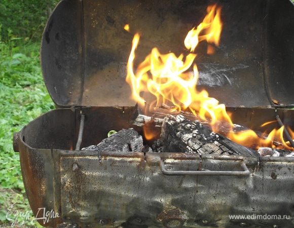 Готовим угли. Для приготовления шашлыка лучше всего использовать березу, липу, дуб и все породы фруктовых деревьев (яблоню, грушу, сливу, вишню, черешню, абрикос, персик и другие), виноградную лозу.