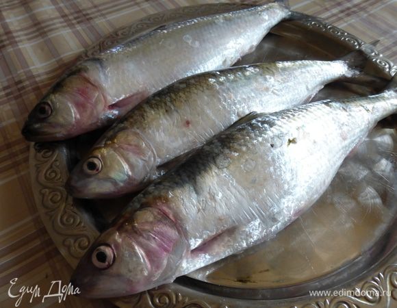 Вот  она - героиня моего повествования !!! У меня сельдь средняя - размером 27 , 28 см . Для более крупной нет подходящей сковороды.