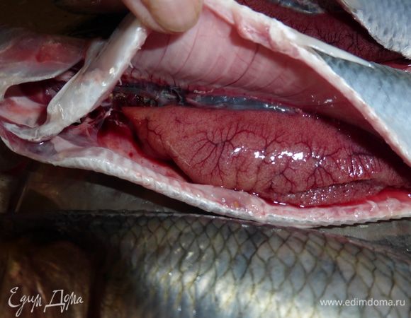 Сельдь очистить, промыть, брюшко аккуратно  разрезать и удалить жабры и внутренности, не повредив икру. Еще раз промыть уже выпотрошенную рыбу и посолить снаружи и внутри. Когда я жарю селедку, то никогда не удаляю плавники и хвосты, т.к. люблю потом похрустеть этими, казалось бы не съедобными, составляющими рыбы.