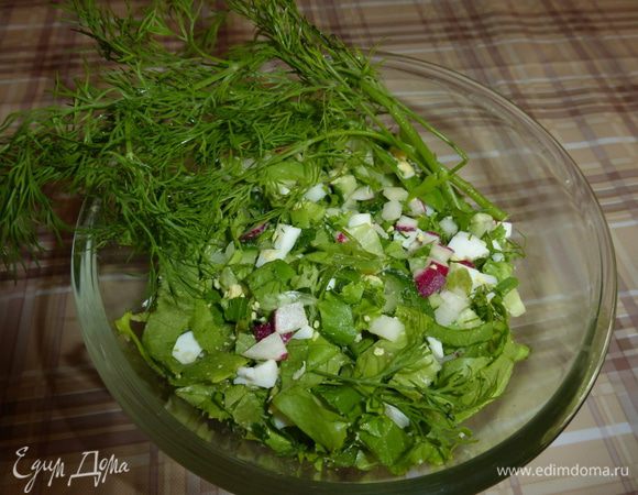 Мы ели селедку вот с таким гарниром - салат из свежих овощей и зелени - мелко порезанный огурчик, редис, салатик и другая имеющаяся в наличии зелень. Лично я заправляю такой салат сметаной, а муж любит с растительным маслом. Получилось все очень по-весеннему, правда?