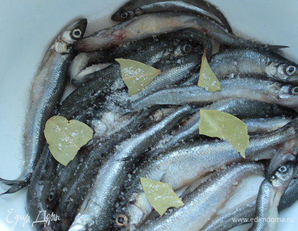 Смешать соль и сахар. Часть рыбы выложить в один слой на дно эмалированной кастрюли, посыпать смесью соли и сахара.