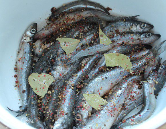 Посыпать специями и лавровым листом. Послойно выложить всю рыбу, пересыпая ее солью и специями.