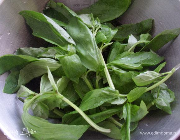 Помыть листики базилика. Сложить крапиву и базилик в блендер и налить оливкового масла первого отжима и взбить.