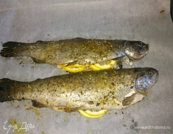 Смазать форель внутри и снаружи оставшимся оливковым маслом, приправить солью и перцем.

Внутрь рыбы уложить дольки лимона и веточки тимьяна (я добавляла сушеный тимьян).

