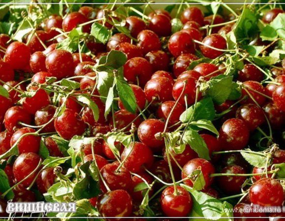 Конечно же, рассказ этот, как ни крути, а всё-же интерпретация старого русского рецепта. Помните сцену в новом фильме по Пушкинской «Барышне – крестьянке». Она, сцена эта, гениально сыграна Лановым и Куравлёвым. Сидят они за столом и наливочками угощаются.… Вот из тех времён. НО!!! Конечно, несколько заточено под дела современные.
Но неизменно одно – торопливым лучше просто разбавить водку вишневым синтететическим сиропом и употреблять. Наша наливочка – дело неспешное. На шесть недель рассчитанное.
Итак.
Созрела вишня. Отбираем самую вкусную, самую созревшую.
