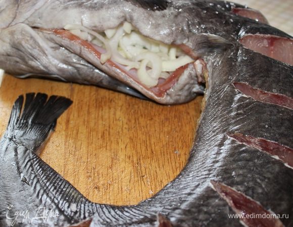 Натереть сома солью, и начинить брюшко луком.