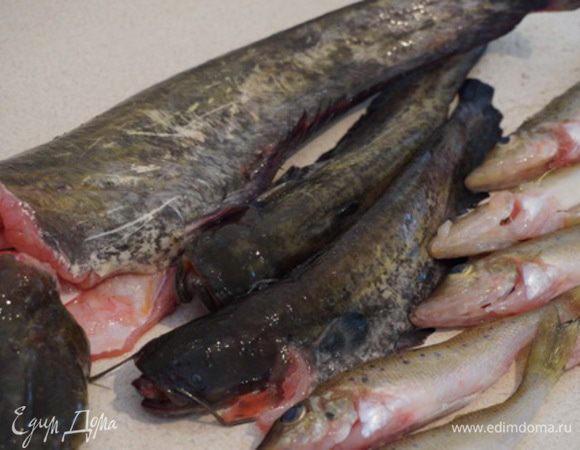 Рыбу (1 кг сома, 0,5 кг ерша) почистить и хорошо помыть. Сбрызнуть соком лимона, через 20 минут еще раз хорошо промыть (убиваем запах тины).