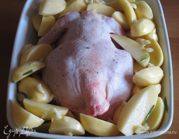 Выложить курицу грудкой вниз на противень ,смазанный оливковым маслом,выложить картофель и запекать в разогретой до 195 ° С 30 минут.Затем курицу перевернуть и запекать 30 минут.Увеличить температуру до 220 ° с и запекать ещё 20 минут.