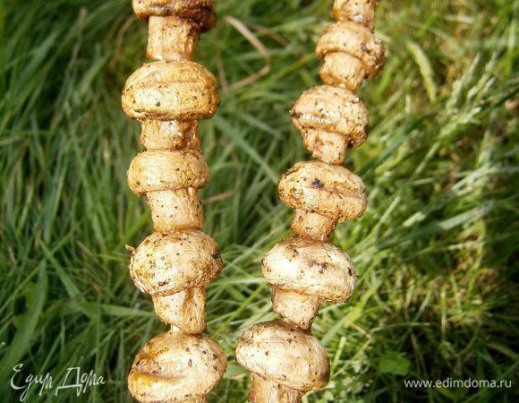 Затем нанизать на шпажки и обжарить на гриле в течении 15 минут.