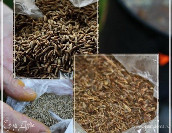 Зира. Надо что-то добавлять? Или и так всё понятно? Без зиры плова быть не может. Это мнение однозначное и обсуждать ничего не стоит.