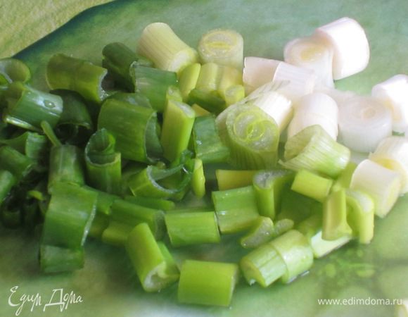 Зелёный лук нарезать колечками.