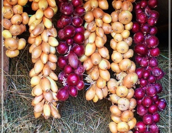 И заготовим все остальное, что в казане обязательно понадобится.
Лук. Он, после уборки урожая поселился у нас на сеновале.
