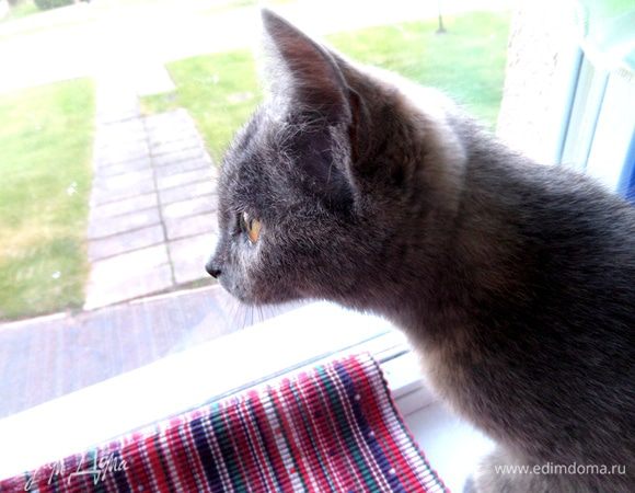 А...,вот чей носик!!!)))))