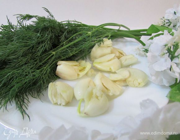 Укроп вымыть. Чеснок почистить и порезать пластинками (я раздавила каждый зубчик).