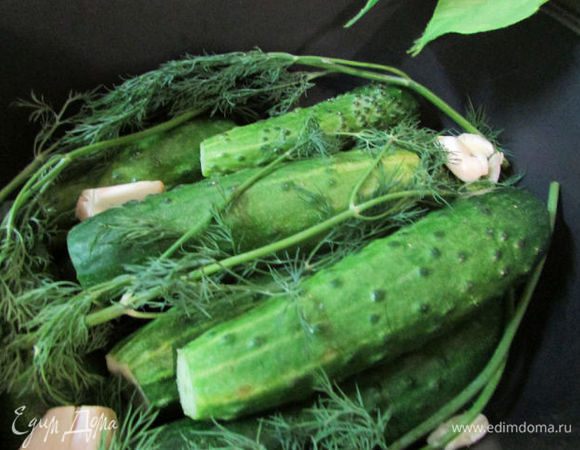 На дно емкости положить часть укропа и чеснока, на укроп уложить подготовленные огурчики, на огурцы оставшийся укроп и чеснок.
