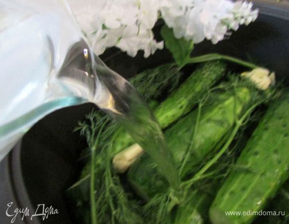 Залить этой смесью огурчики. Можно добавить сахар и приправы по вашему вкусу......