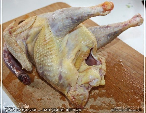 И захотелось, значит эту самую «его величества» уху приготовить. За основу взял рецепт от Елены Ивановны Молоховец. Тот, который № 122. «Уха из стерляди с шампанским». Читаем: «Сварить 2-3 фунта мелкой рыбы, как-то: ершей, окуней, сига иди 1 молодую курицу с белыми кореньями, пряностями и солью, варить под крышкою, на медленном огне, часа два, снимая накипь, чтобы рыба разварилась, процедить сквозь сито, очистить, кто хочет паюсною икрою; процедить сквозь салфетку. См. примеч….» А т.к. было сказано так много про уху из петуха, то первым делом этого самого петуха и берем.