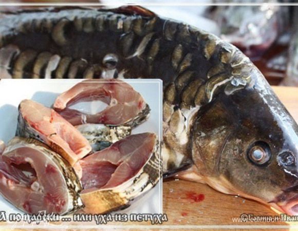 Карп в составе оказался. Зеркальный. Я его почистил, выпотрошил, удалил жабры и нарезал на порционные куски. Куски убрал в морозилку «для потом». Они никакого участия в дальнейшем процессе принимать не будут.