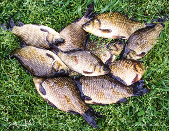 Сначала мы карасей ловили)))))))))