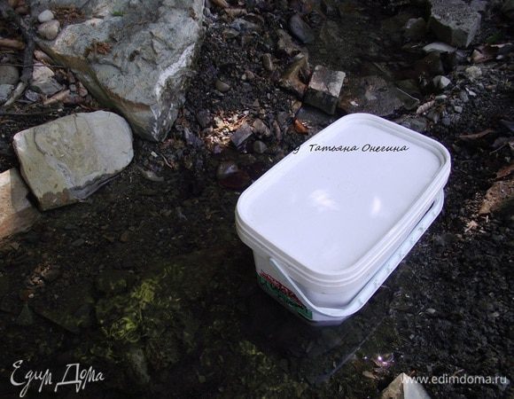 Смешать подготовленное мясо с луком и специями, добавить водку. Хорошо перемешать, плотно уложить в контейнер или посуду, отправить мариноваться в холодное место на 1-1,5 часа, пока будут готовиться угли.