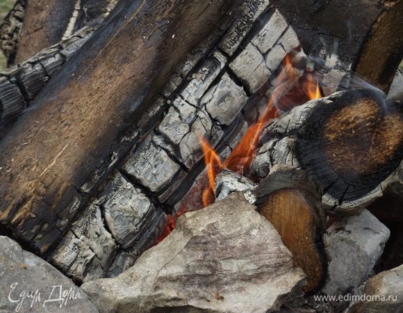 Тем временем готовим угли. Для приготовления шашлыка лучше всего использовать березу, липу, дуб и все породы фруктовых деревьев (яблоню, грушу, сливу, вишню, черешню, абрикос, персик и другие), виноградную лозу.