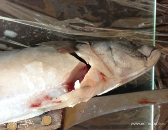 Для начала необходимо разделать скумбрию на филе любым известным вам способом. 
Если скумбрия замороженная (как в моем случае), то лучше ее разделывать, когда она еще слегка подморожена.
Я для этого делаю косые надрезы под боковыми и нижними плавниками, удаляю голову.