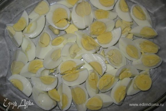 Вареные яйца разрезаем на дольки или четвертинки в форму с растительным маслом..