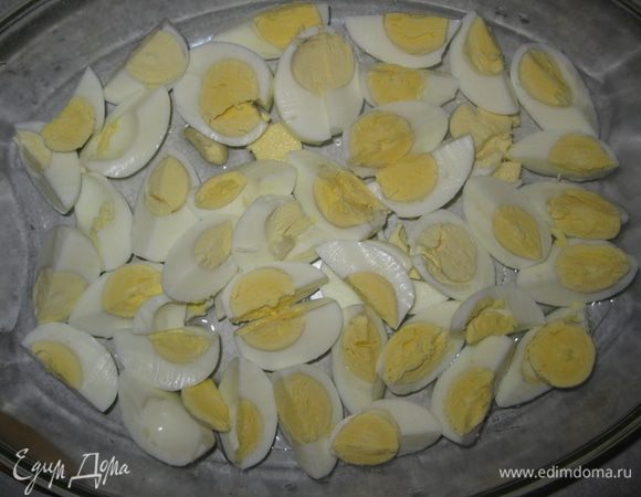 Вареные яйца разрезаем на дольки или четвертинки в форму с растительным маслом.. 