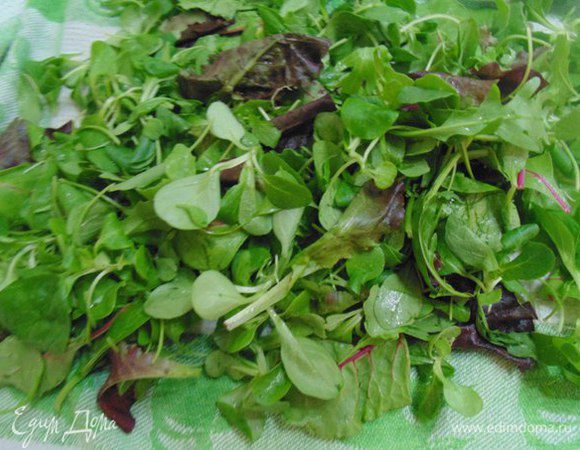 Салатные листья помыть, обсушить.